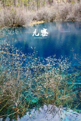 缓解企业资金困境　精准赋能新质生产力